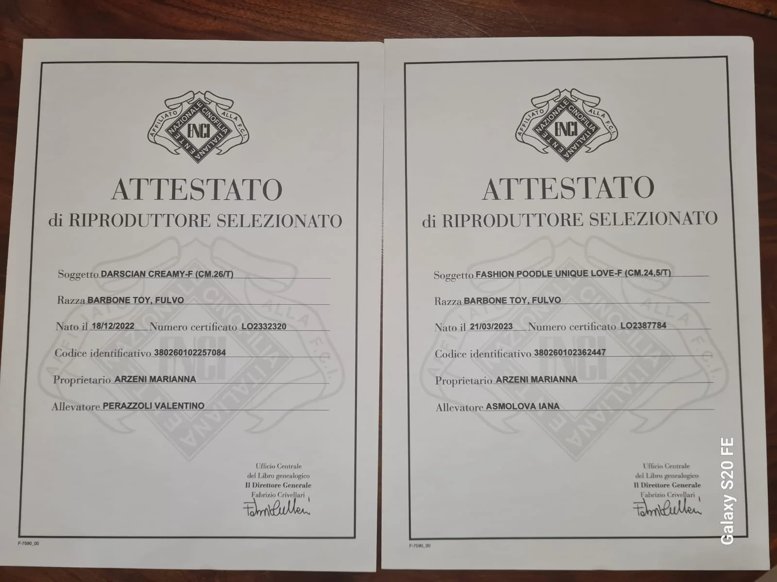 Selected breeder certificates