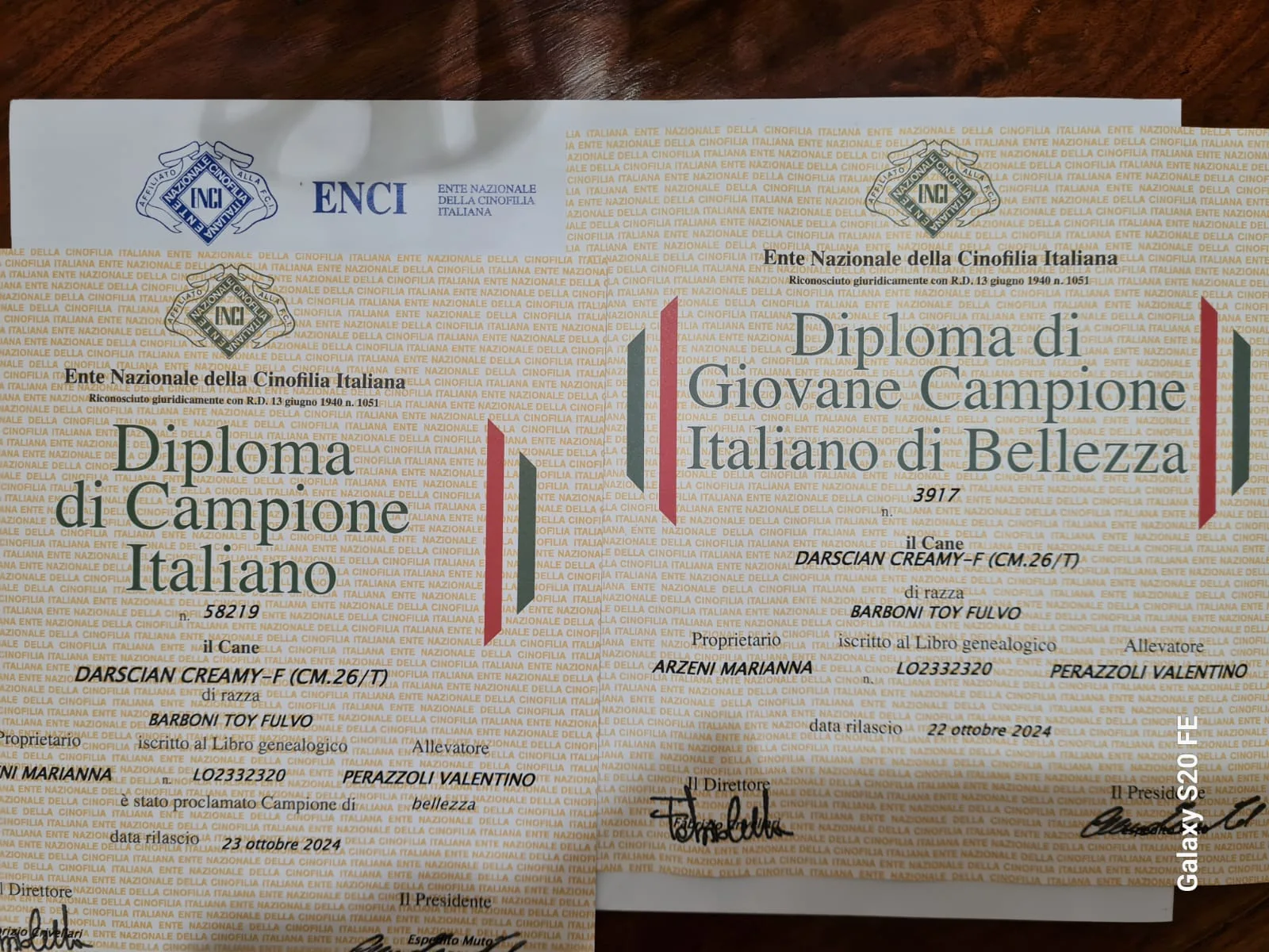 Italian beauty champion certificate
