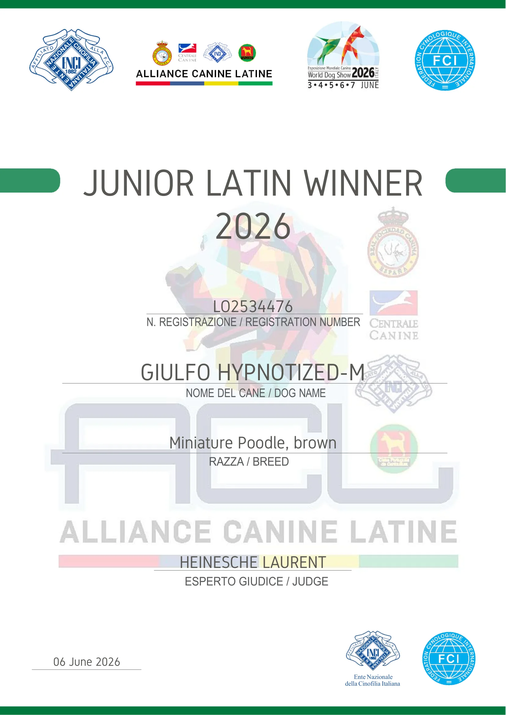Giulfo Hypnotized Junior Latin Winner 2026 certificate, Alliance Canine Latine