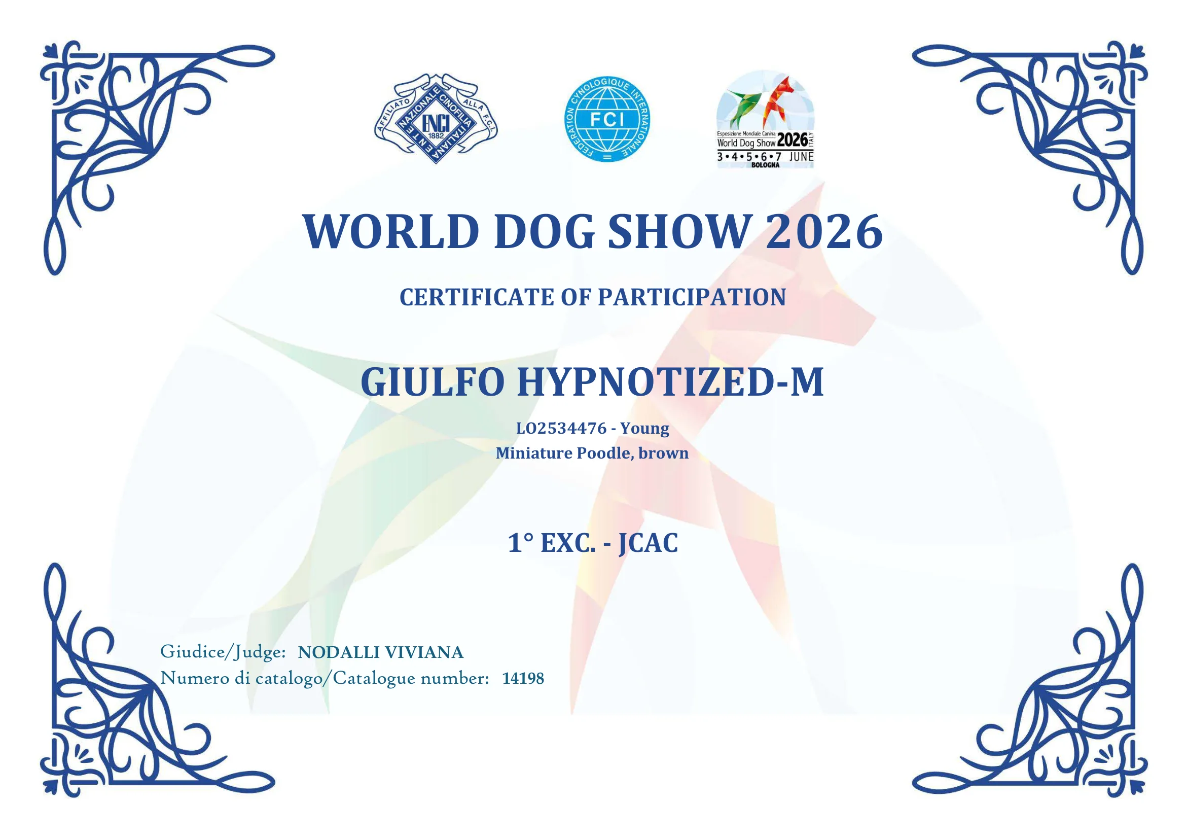 Giulfo Hypnotized World Dog Show 2026 Bologna certificate, 1° Exc. JCAC