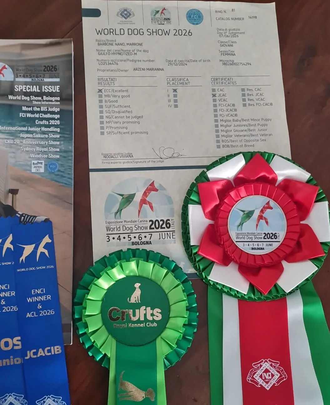 World Dog Show 2026 Bologna certificate and rosettes