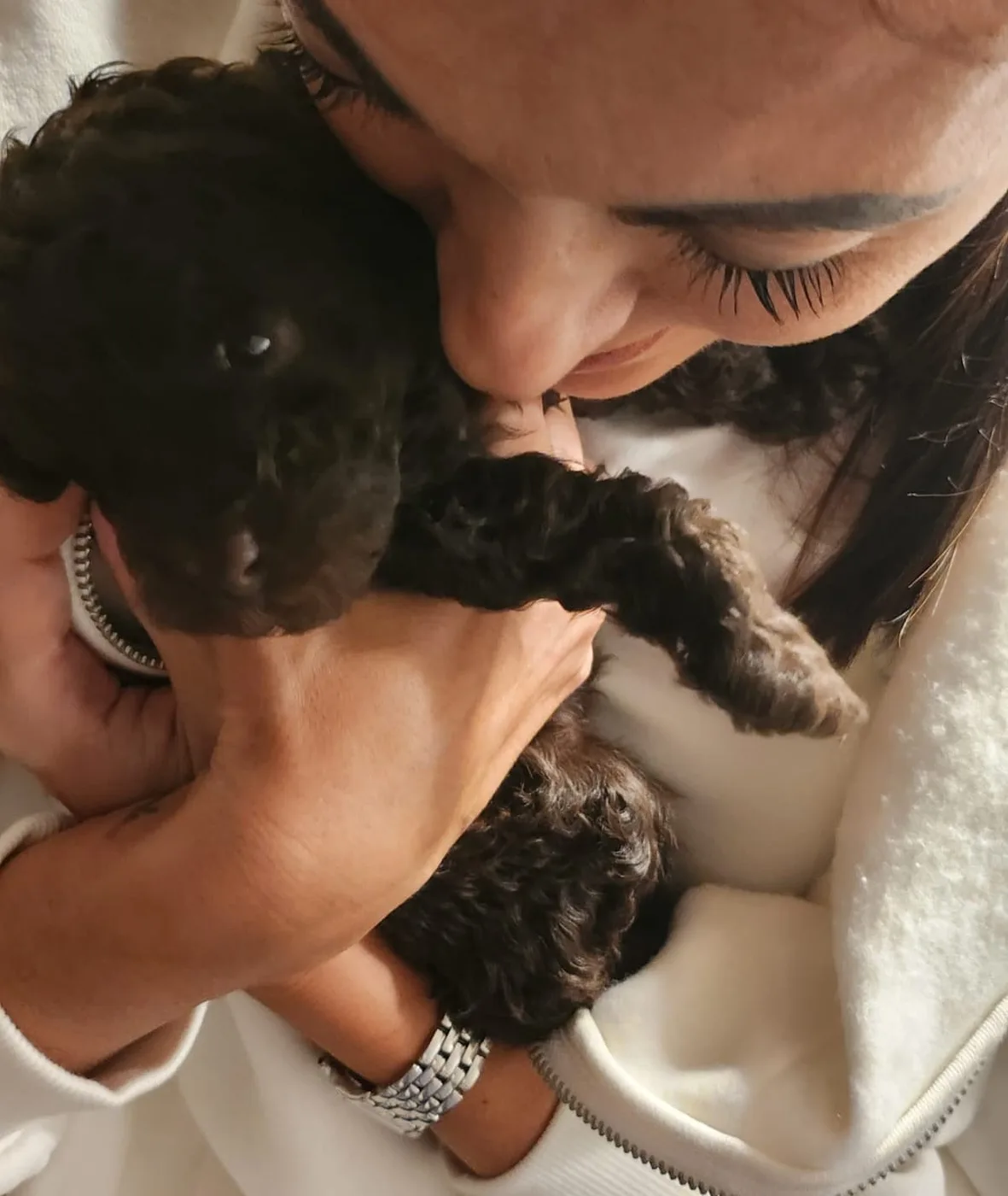 Owner cuddling a poodle puppy